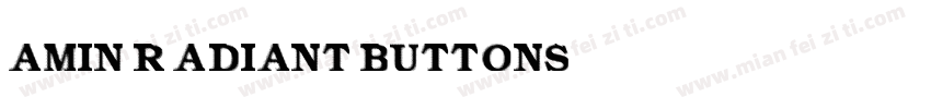 Amin Radiant Buttons字体转换